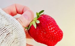 はるひ🍓　初体験